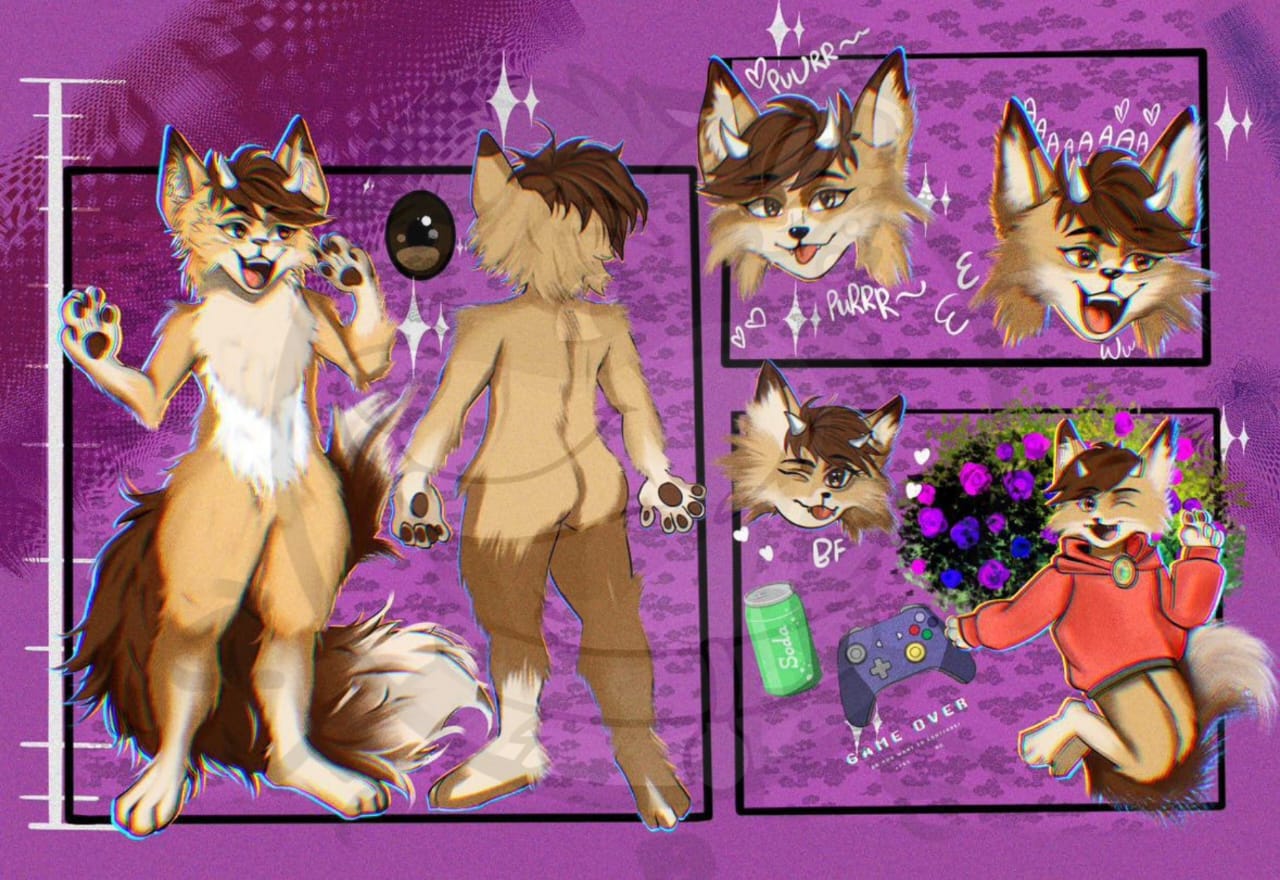 Reference Sheet